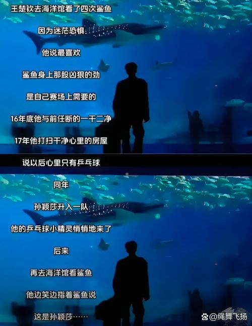 克尼佩尔：过去两场我有点过于执着三分了 想重新找回突破的节奏